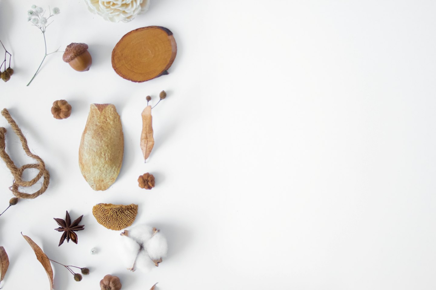 Natural elements like wood slices and acorns arranged on white.